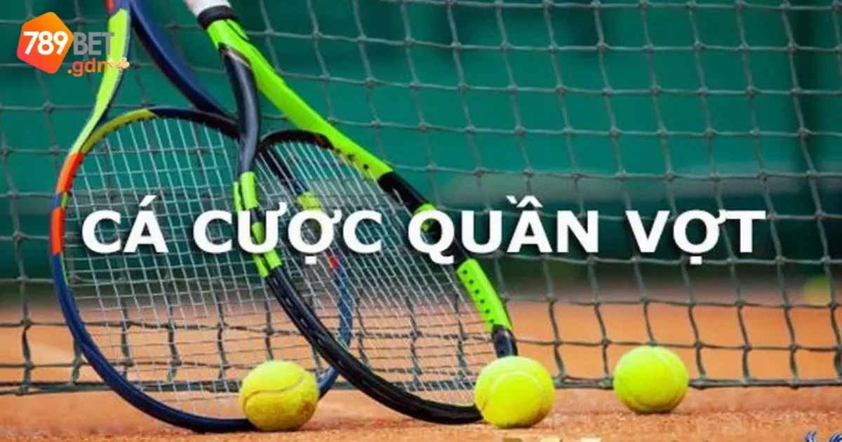 Cá Cược Tennis: Hướng Dẫn Cơ Bản Cho Người Mới Bắt Đầu 2 Cá cược tennis: Hướng dẫn cơ bản cho người mới bắt đầu