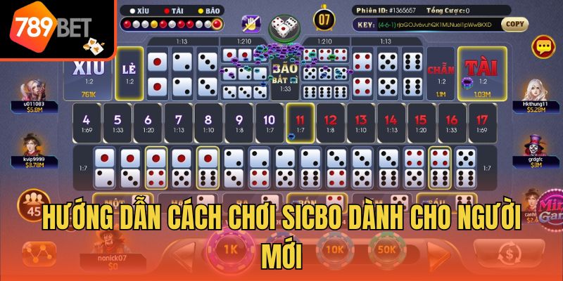 Cách Chơi Sicbo - Tổng Hợp Kiến Thức Nhập Môn Từ A - Z 3 Hướng dẫn cách chơi Sicbo dành cho người mới