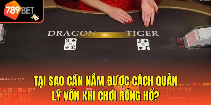 Cách Quản Lý Vốn Khi Chơi Rồng Hổ Hiệu Quả Tại 789bet 3 Tại sao cần nắm được cách quản lý vốn khi chơi Rồng Hổ?