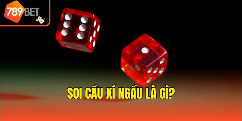 4 Cách Soi Cầu Xí Ngầu Chuẩn Xác Thắng Lớn Liên Tiếp 2 Soi cầu xí ngầu là gì?