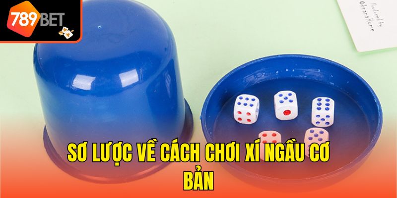 Chiến Thuật Chơi Xí Ngầu - Học Hỏi 5 Bí Kíp Rinh Thưởng Lớn 2 Sơ lược về cách chơi Xí ngầu cơ bản