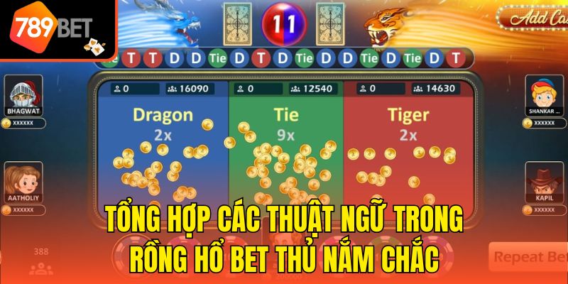 Tổng Hợp Thuật Ngữ Trong Rồng Hổ Phổ Biến, Quan Trọng Nhất 3 Tổng hợp các thuật ngữ trong Rồng Hổ bet thủ nắm chắc
