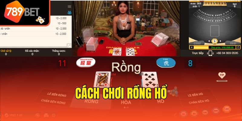 Cách Chơi Rồng Hổ - Tổng Hợp Kiến Thức Cơ Bản Chuẩn Xác 2 Tìm hiểu sơ lược thông tin về game Rồng Hổ