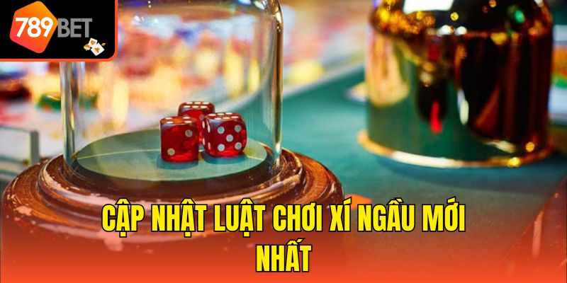 Kinh Nghiệm Chơi Xí Ngầu Thắng Lớn - Mẹo Mới Nhất Từ Cao Thủ 3 Cập nhật luật chơi xí ngầu mới nhất