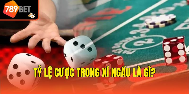 Tỷ Lệ Cược Trong Xí Ngầu - Khái Niệm Và Cách Tính Chuẩn Xác 2 Tỷ lệ cược trong Xí ngầu là gì?