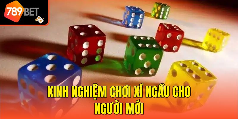 Kinh Nghiệm Chơi Xí Ngầu Thắng Lớn - Mẹo Mới Nhất Từ Cao Thủ 4 Kinh nghiệm chơi xí ngầu cho người mới