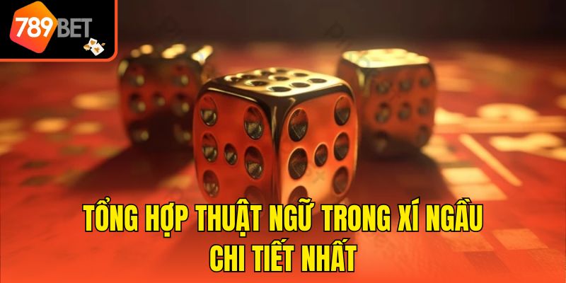 Thuật Ngữ Trong Xí Ngầu - Chìa Khóa Chiến Thắng Nhanh Chóng 3 Tổng hợp thuật ngữ trong xí ngầu chi tiết nhất