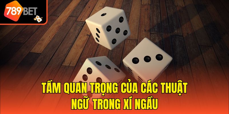 Thuật Ngữ Trong Xí Ngầu - Chìa Khóa Chiến Thắng Nhanh Chóng 2 Tầm quan trọng của các thuật ngữ trong xí ngầu